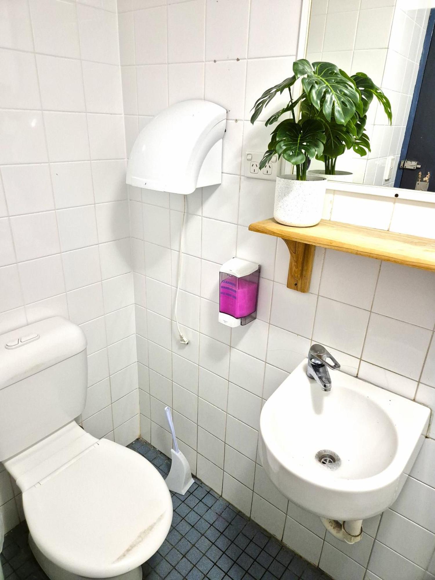 Boardrider Backpackers&Budget Motel Sydney Buitenkant foto